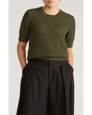 UNIVERSAL STANDARD Rosie Cotton Pointelle Sweater - Green