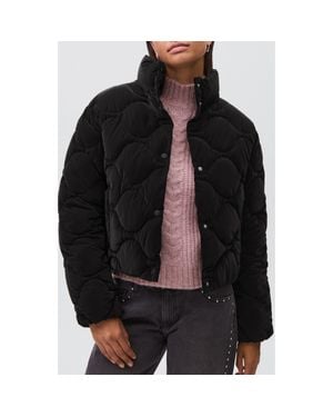 MANGO TEEN Quilted Puffer Coat - Black