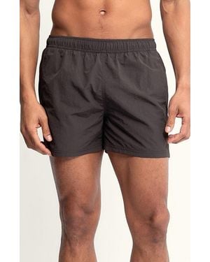 AUTO-REPLY™ Sebastian Solid 4-Inch Nylon Swim Trunks - Gray