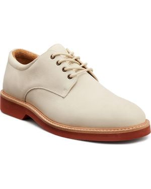 G.H. Bass & Co. Pasadena Derby - White