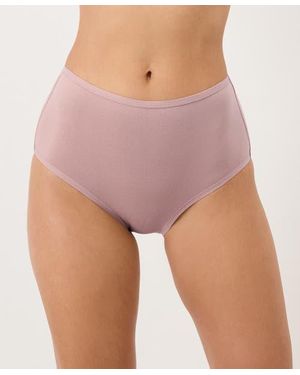 Pact Everyday High Rise Brief 5-Pack Made With Organic Cotton - Purple