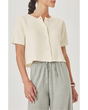 Splendid Delilah Crop Rib Cardigan - Natural