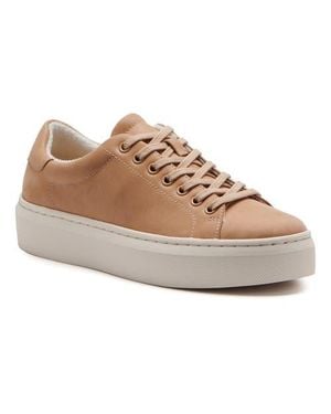 ABEO Jumpstreet Sneaker - Gray