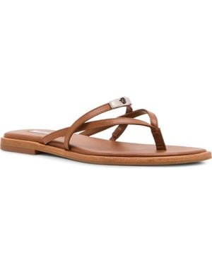 Steve Madden Catalina Flip Flop - Brown
