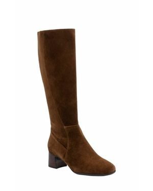 ABEO Avenue Tall Boot - Brown