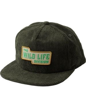 Kavu Wooderson Cap - Green