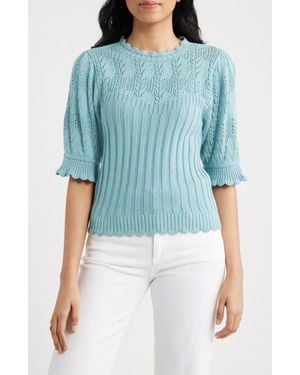 Wit & Wisdom Mixed Stitch Elbow Sleeve Sweater - Blue