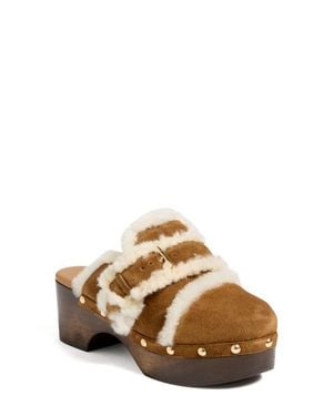Cinq À Sept Wrenley Genuine Shearling Buckle Clog - Metallic