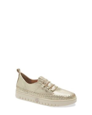 BOTTER Elastic Lace Sneaker - Multicolor