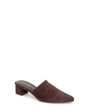 Splendid Lorelei Mule - Brown