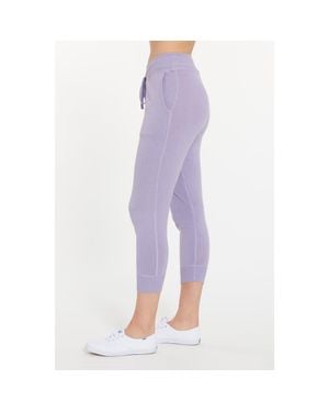LEIMERE Sagaponack Jogger - Purple