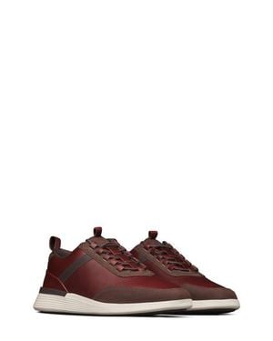 Wolf & Shepherd Crossover Victory Sneaker Sneaker - Brown