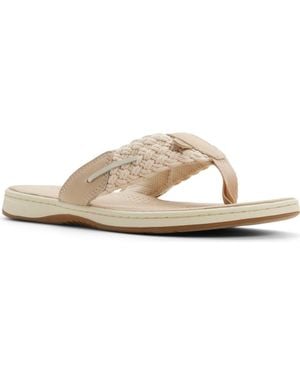 Sperry Top-Sider Parrotfish Sandal - Multicolor