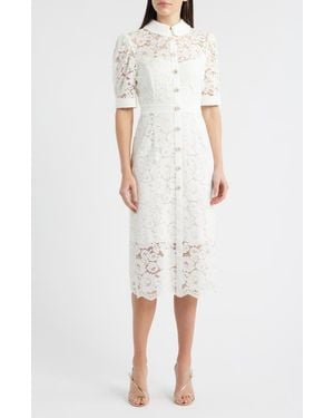 Tahari Crepe & Lace Shirtdress - White