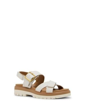 Blondo Beau Sandal - Multicolor