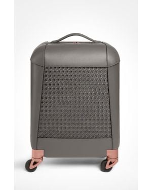 Aviteur Calfskin Lucite Handle Carry-On 19 Luggage - Gray