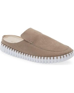 Ilse Jacobsen Tulip 3420 Mule - Gray