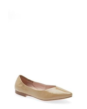 Cordani Mavis Pointed Toe Flat - Brown