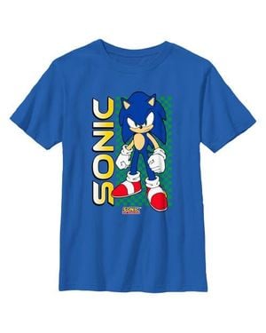 Sonic The Hedgehog Boy's Classic Pose Graphic T-Shirt - Blue