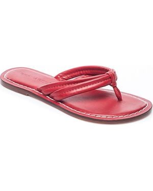 Bernardo Miami Thong Sandal - Pink