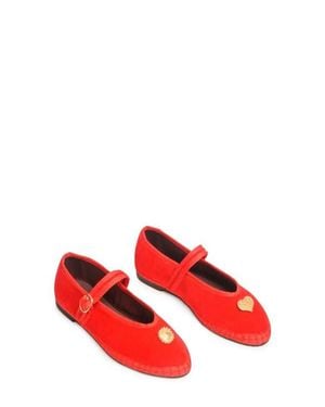 Flabelus Pierre Alpine Flat - Red
