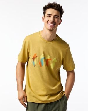 COTOPAXI Cuatro Bitmap T-Shirt - Multicolor