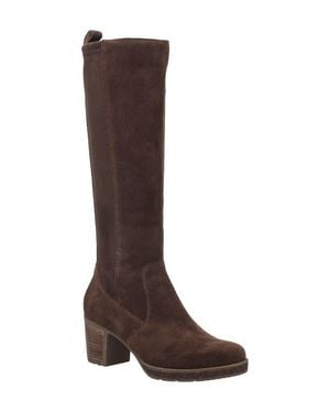 Josef Seibel Gloria 03 Knee High Boot - Brown