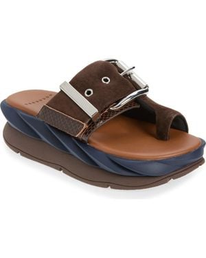 4Ccccees Mellow Glow Platform Sandal - Brown