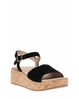 ABEO Solstice Buckle Sandal - Black