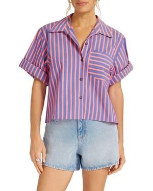 Matty M Chamber Directional Stripe Cotton Blend Button-Up Shirt - Purple