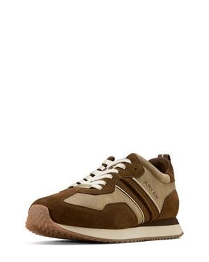 Ariat Ranch Runner Shoe - Brown