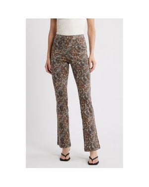 Hue Leopard Print Pull-On Bootcut Jeans - Brown