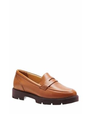 ABEO Boulevard Loafer - Brown