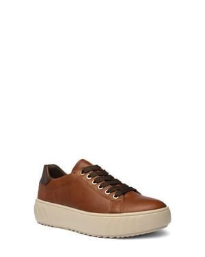 Ara Mikky Platform Sneaker - Brown