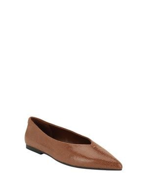 Calvin Klein Gemeen Pointed Toe Flat - Brown