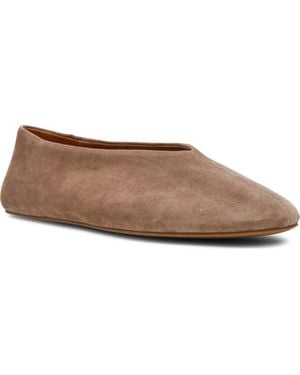 Steve Madden Cyntra Leather Flat - Brown