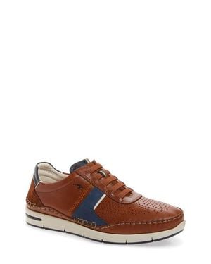 Fluchos Yannic Sneaker - Brown