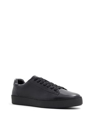 Ted Baker Westwood Sneaker - Black