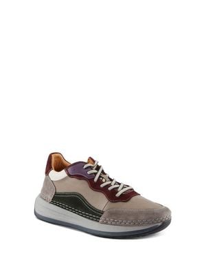 Spring Step Booker Sneaker - Brown