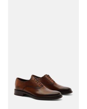 SCAROSSO Marco Oxfords - Brown