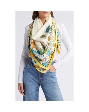 Tasha Butterfly Floral Scarf - Blue