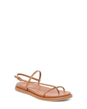 Dolce Vita Dom Strappy Sandal - Pink