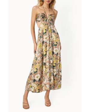 Cami NYC Calliope Floral Cutout Silk Satin Gown - Natural