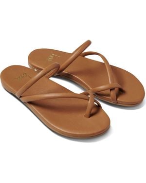 Beek Sunbird Slide Sandal - Brown