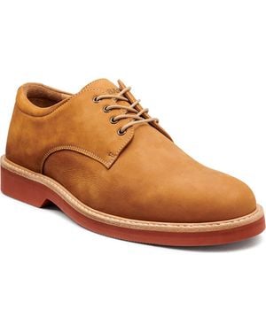 G.H. Bass & Co. Pasadena Derby - Brown