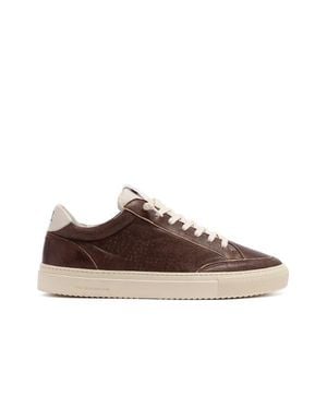 P448 Soho Vintage Sneaker - Brown