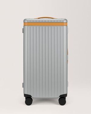 Carl Friedrik The Trunk Suitcase - Gray