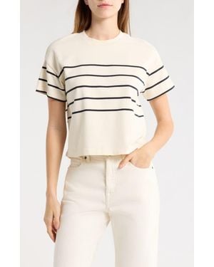 Marine Layer Stripe Cotton T-Shirt - Natural