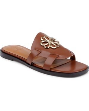 CLERAE Ilena Slide Sandal - Brown