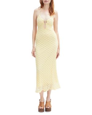 Bardot Rosala Halter Lace Maxi Dress - Multicolor